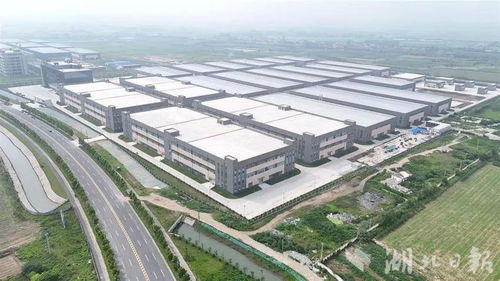 稀散金屬 超級工廠 內(nèi),孿生元素分離純度可達99.5